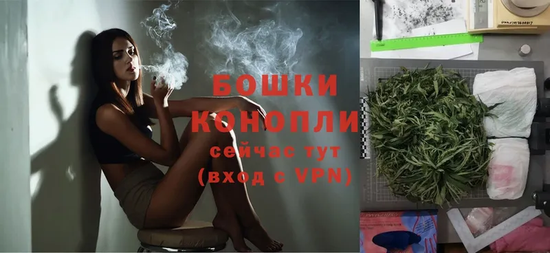 Шишки марихуана Ganja  ссылка на мегу зеркало  Канаш  магазин продажи  